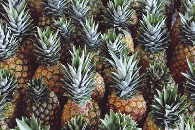 Full frame shot of pineapples for sale