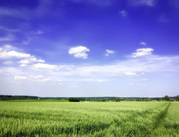 Scenic view of grassy field against cloudy sky
