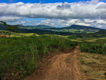 Scenic view of field against sky