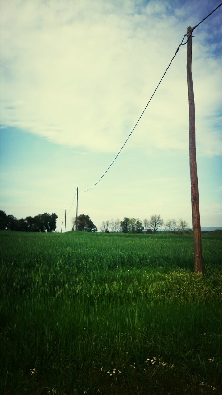 field, sky, landscape, grass, tranquility, electricity pylon, tranquil scene, rural scene, power line, growth, fuel and power generation, nature, scenics, electricity, beauty in nature, agriculture, cloud - sky, power supply, plant, grassy