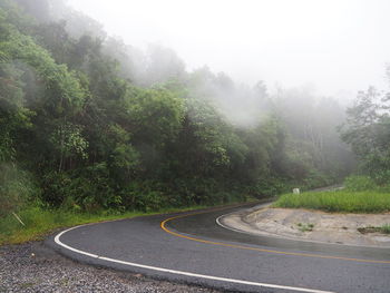 Road amidst trees and plants during foggy weather