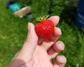 Cropped image of hand holding strawberry