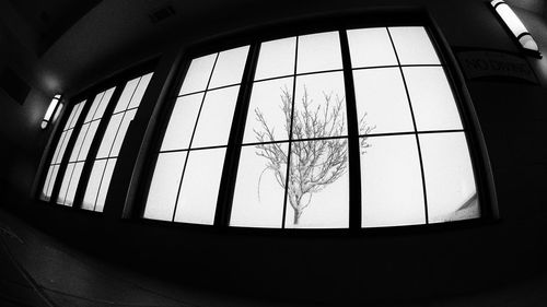 Building seen through window