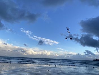 Birds flying over sea against sky