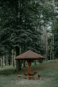 Gazebo on table in forest