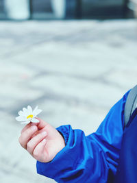 Close-up of hand holding white flowering plant