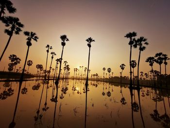 Silhouette palm trees by lake against sky during sunset