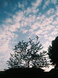 Low angle view of silhouette trees against sky