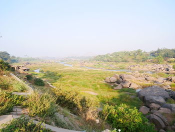 Scenic view of landscape against clear sky