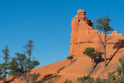 Low angle landscape of orange hoodoos and spires or rock formations and greenery against the sky