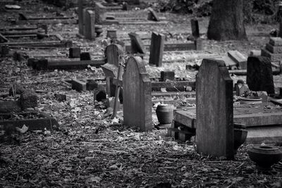 Tombstones in cemetery