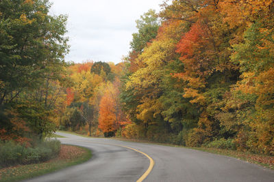 Road amidst trees during autumn