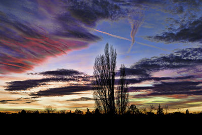 Low angle view of silhouette trees against sky during sunset