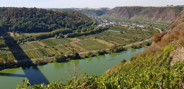 High angle view of agricultural landscape