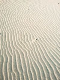 High angle view of wave pattern on sand at desert