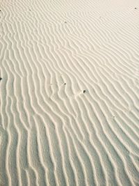 Full frame shot of textured surface