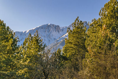Scenic view of mountains against clear sky