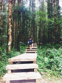 Rear view of man standing on tree trunk in forest