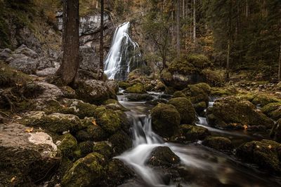 Waterfall in forest