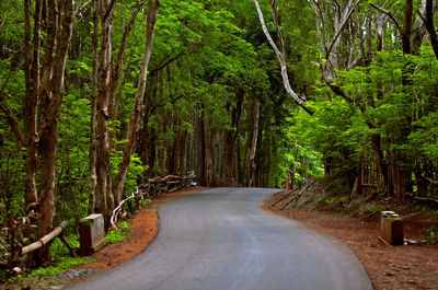 Road amidst trees in forest