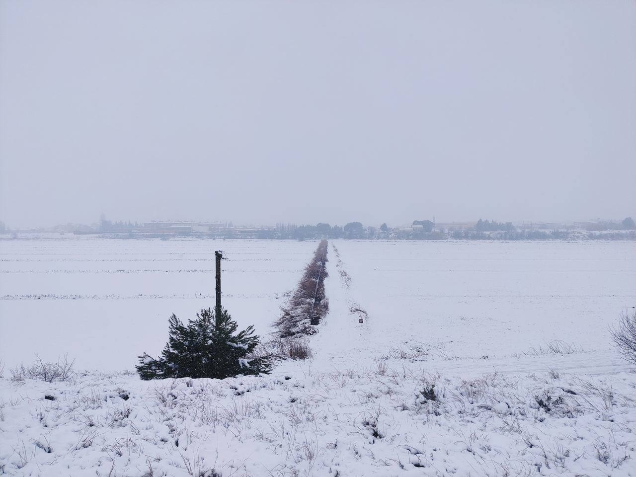 SNOW COVERED FIELD AGAINST SKY