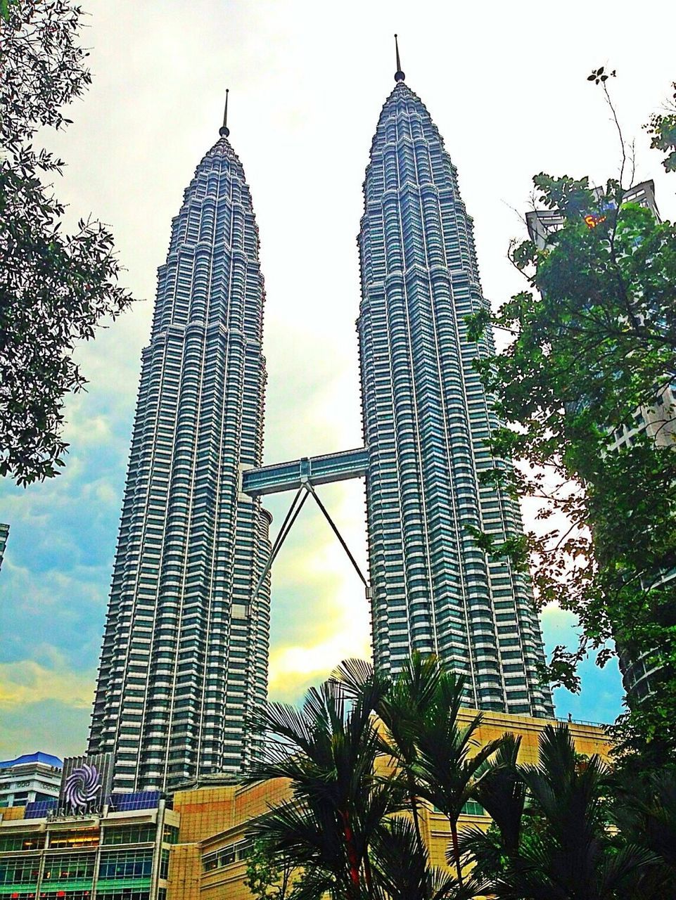 architecture, building exterior, low angle view, built structure, tower, tall - high, tree, sky, city, famous place, skyscraper, spire, travel destinations, modern, international landmark, religion, place of worship, branch, outdoors, growth