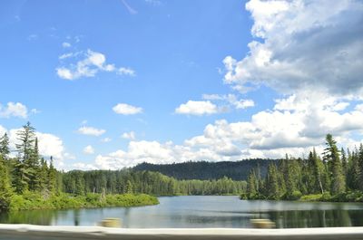 Scenic view of lake in forest against sky