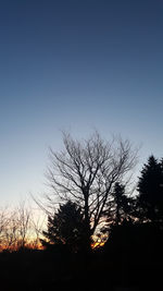 Low angle view of silhouette bare trees against clear sky