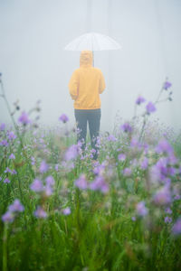 Rear view of woman standing on yellow flowering plant on field