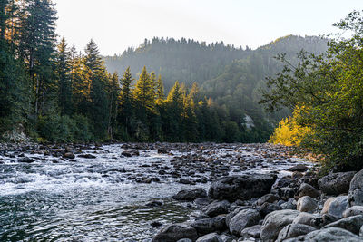 Stream flowing through rocks in forest against sky