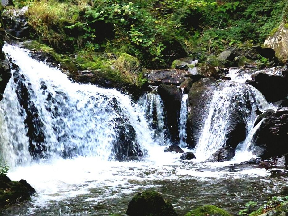 SCENIC VIEW OF WATERFALL