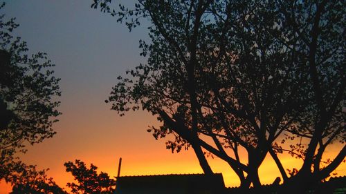 Silhouette trees against sky during sunset