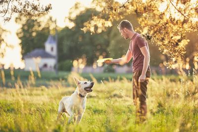 Man throwing plastic disc with dog on field against tree