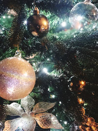 Close-up of illuminated christmas tree