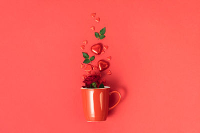 High angle view of potted plant against pink background