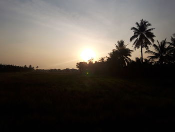 Silhouette trees on field against sky at sunset