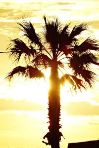 Low angle view of silhouette palm tree against sunset sky