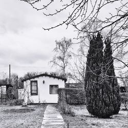 Bare tree by building on field against sky