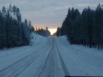 Snow covered road amidst trees against sky during winter