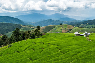 Scenic view of agricultural field and mountains against sky