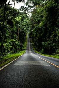 Empty road along trees