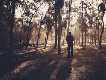 Rear view of silhouette man walking in forest