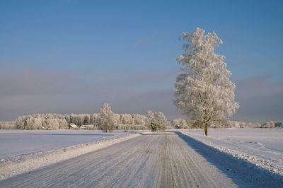 Trees on snow covered field against sky