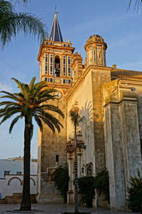 Low angle view of palm trees and building against sky