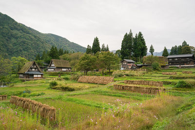 Trees and houses on field against sky