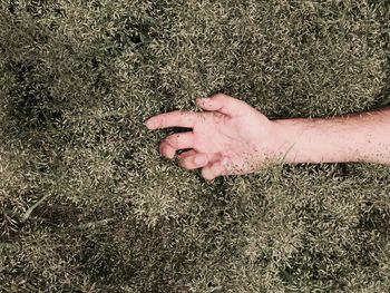 Cropped hand on grass