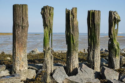 Wooden posts on beach against sky