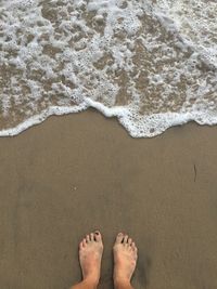 Low section of person standing on beach