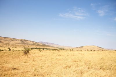 Scenic view of field and mountains against blue sky