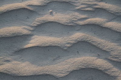Wind forms  waves of sand